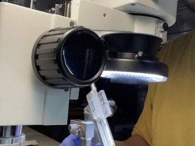 Foothills Farm And Apiary