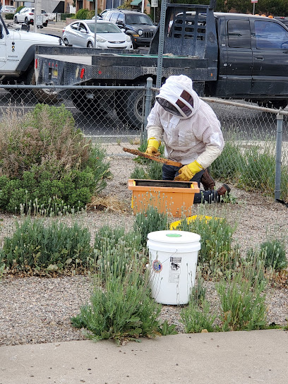 Bear Canyon Honey Co