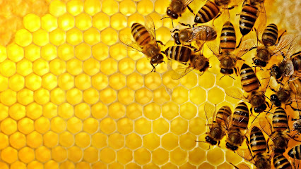Wagram Apiary