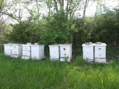 Caleb's Honey Farm