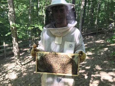 Noblebee Apiary
