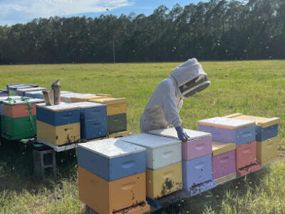 How's Your Day Honey