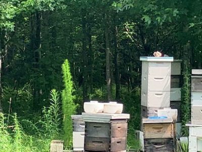 Autumn Brook Colonies