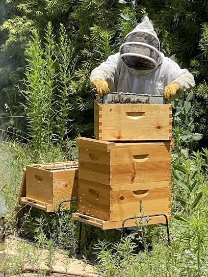 More than Honey LA