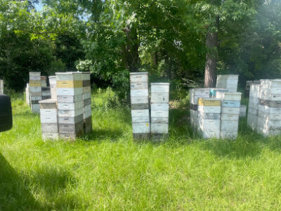 Smith’s Honey Farm