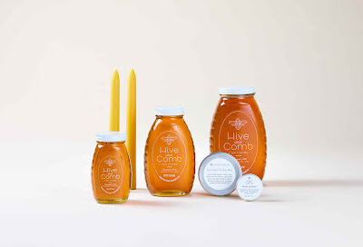 Hive and Comb