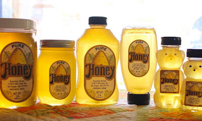 Sunrise Hives