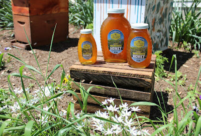 Welsh Mountain Apiaries