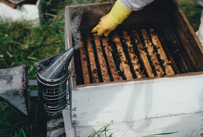 Happy Honey Bee Co., LLC