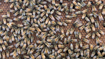 JC's Honey Bees