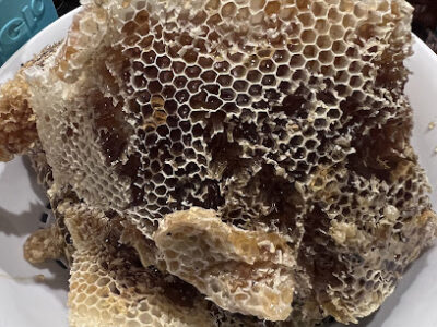 Qbee farms