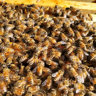 5 Acre Farms Honey Company