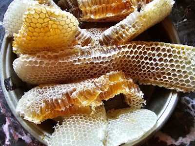 Kelly Farms Beekeeping & Honey Farm
