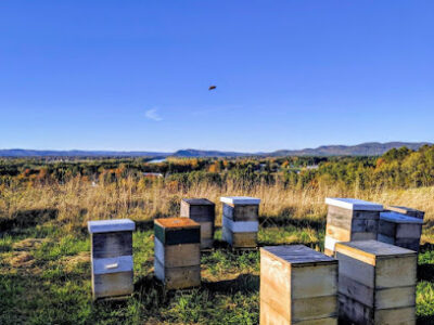Pioneer Valley Apiaries