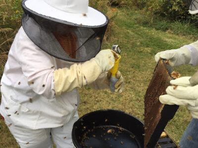 Eastern Missouri Beekeepers Association