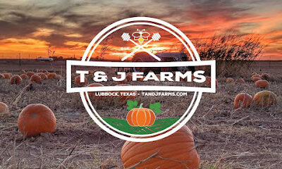 T&J Farms Pumpkin Patch & Honey Farm