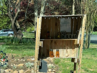 Revolution Bees Honey Stand