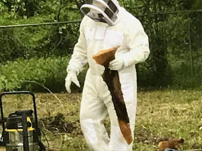 Queen B Apiaries
