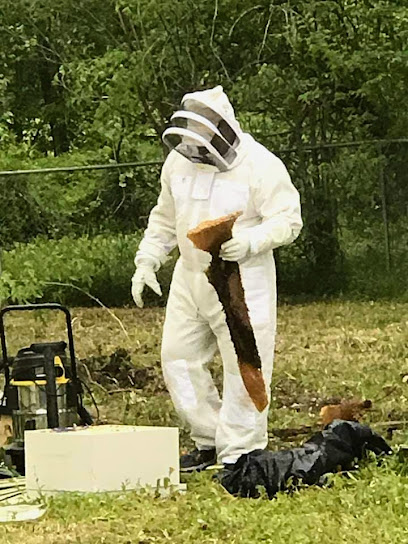 Queen B Apiaries