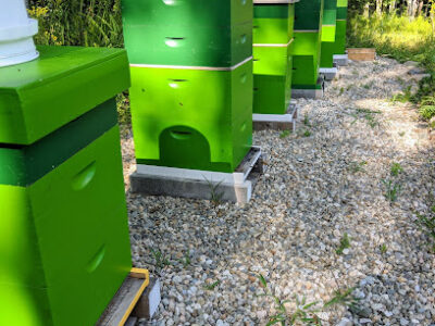 Camden Hills Honey