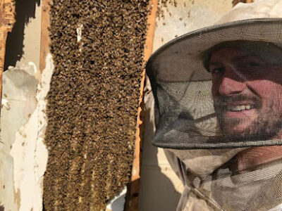 Sacramento Beekeeper