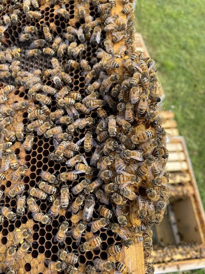 Fat Bee Farms