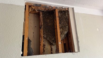 Jones Family Bee Removal