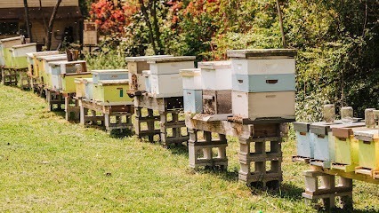 Queen's Orders Honey, LLC