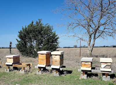Raw-Bee's, LLC