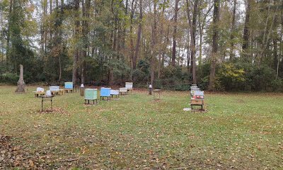 Macri Honey Bee Farm, LLC