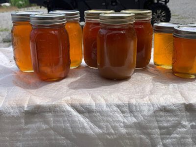 Milk & Honey Farm 601 Bruce RD (honey at this time)