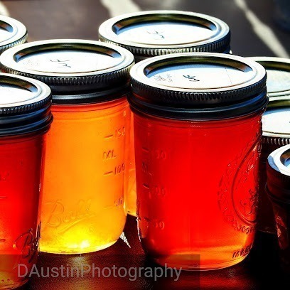 Bees Company Honey