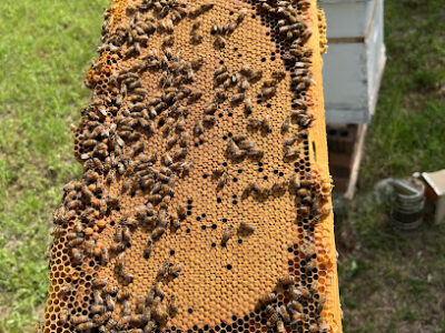 Baker Bee Farms LLC