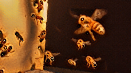 Raw Oregon Honey