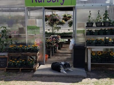 Johnson's Nursery & Gardens