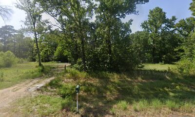 REM Apiary