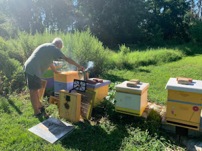 BARRY'S BEES