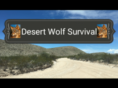 Desert Wolf Ranch