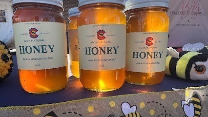 Colorado Wild Bees
