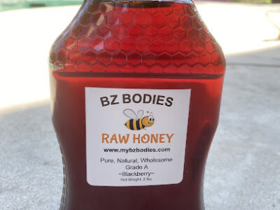 BZ Bodies