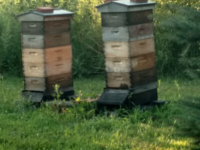 Twin Oaks Farmstead, LLC