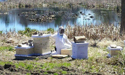 Al's Honey