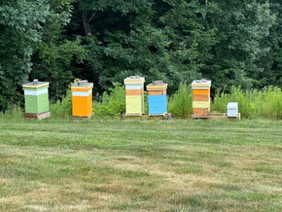 Spruce Pond Honey and Bee