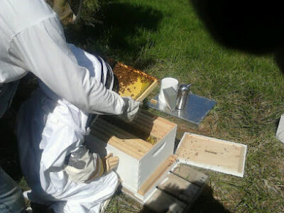 BEE MERRY FARMS