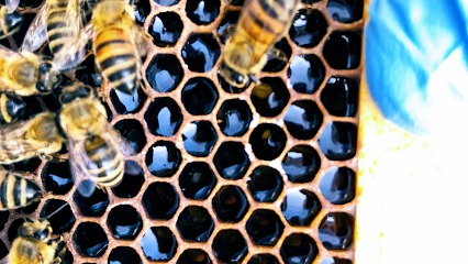 Heaven Sent Apiary