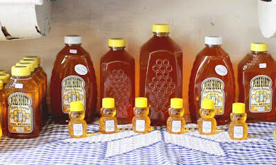 Slater’s Apiaries Inc.