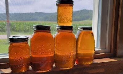 Lee's Bees Apiary LLC