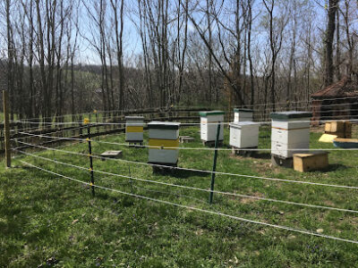HarBee Beekeeping