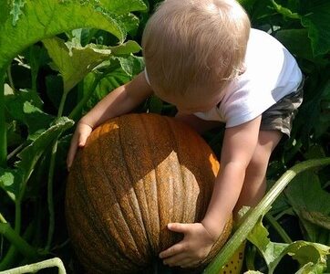 Hickory Ridge Farm