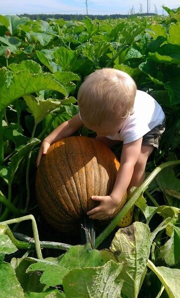 Hickory Ridge Farm